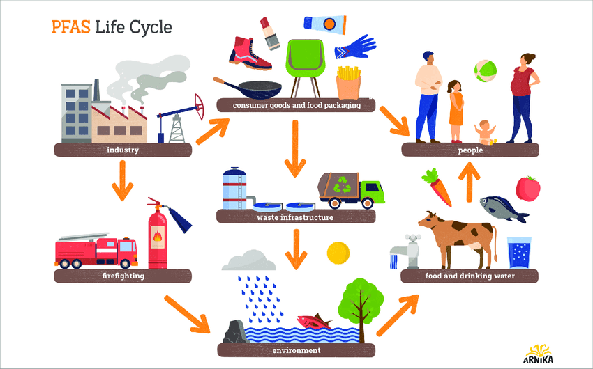 Sources_of_PFAS_and_PFAS_Life_Cycle_Credit_Arnika_f91e3d546f.png