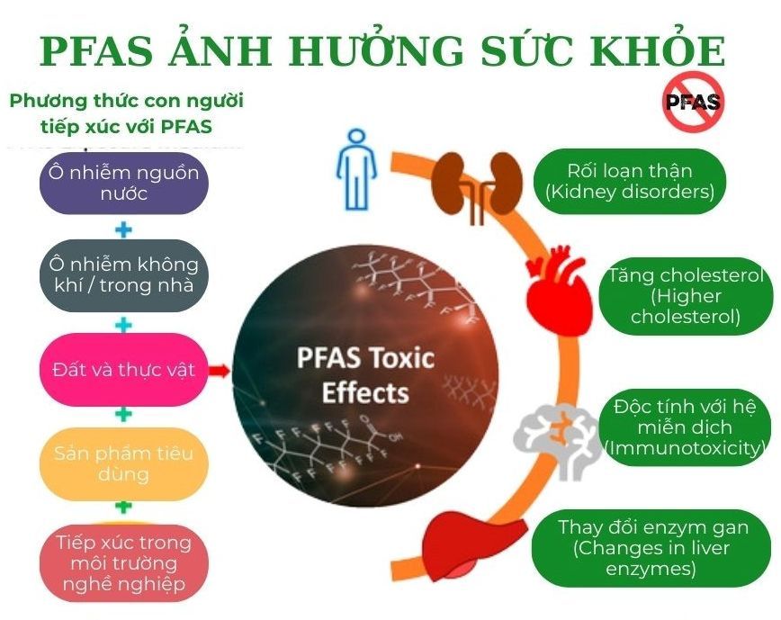 anh_huong_skhoe_6976fe965c.jpg